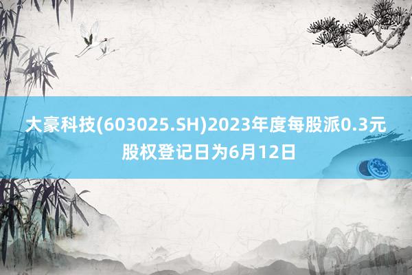 大豪科技(603025.SH)2023年度每股派0.3元 股权登记日为6月12日