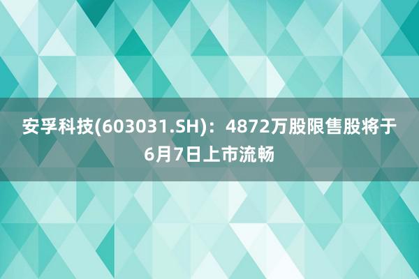 安孚科技(603031.SH)：4872万股限售股将于6月7日上市流畅