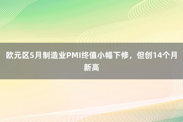 欧元区5月制造业PMI终值小幅下修，但创14个月新高