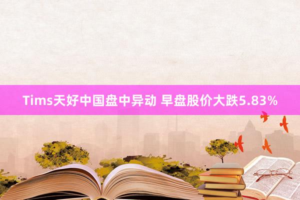 Tims天好中国盘中异动 早盘股价大跌5.83%