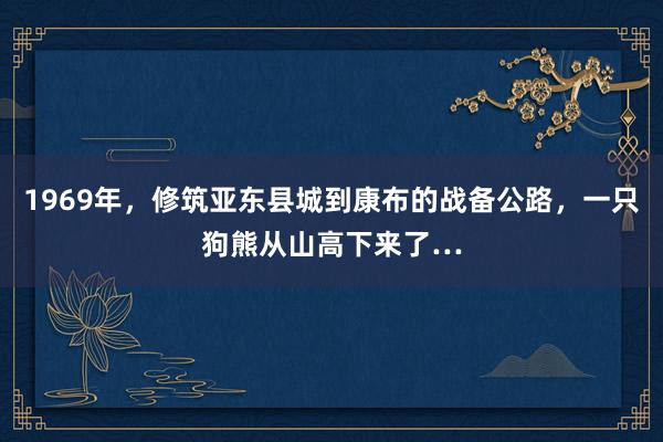 1969年，修筑亚东县城到康布的战备公路，一只狗熊从山高下来了…