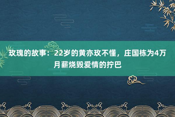 玫瑰的故事：22岁的黄亦玫不懂，庄国栋为4万月薪烧毁爱情的拧巴