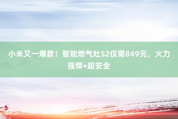 小米又一爆款！智能燃气灶S2仅需849元，火力强悍+超安全