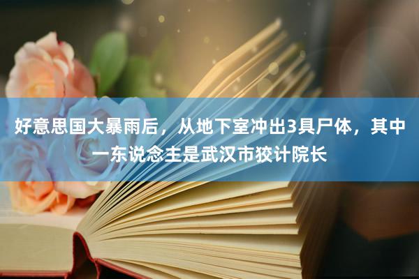 好意思国大暴雨后，从地下室冲出3具尸体，其中一东说念主是武汉市狡计院长