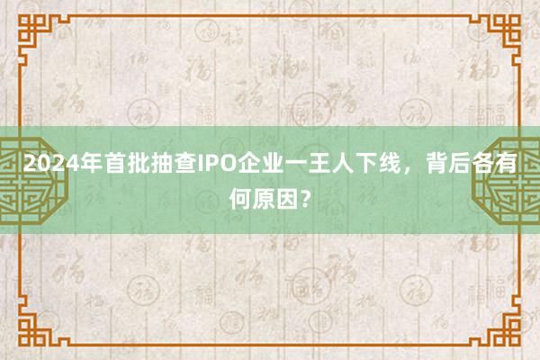 2024年首批抽查IPO企业一王人下线，背后各有何原因？