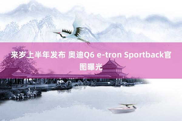 来岁上半年发布 奥迪Q6 e-tron Sportback官图曝光