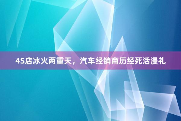 4S店冰火两重天，汽车经销商历经死活浸礼