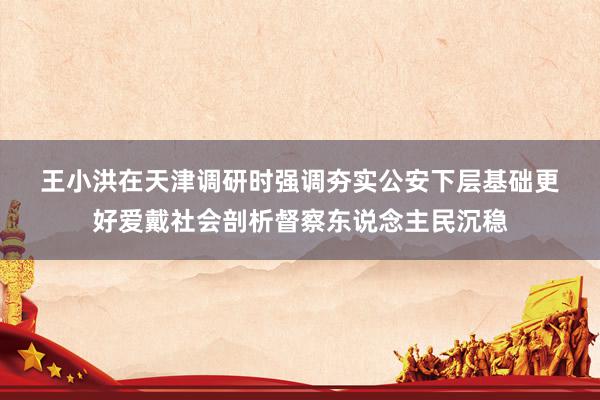 王小洪在天津调研时强调　　夯实公安下层基础　　更好爱戴社会剖析督察东说念主民沉稳