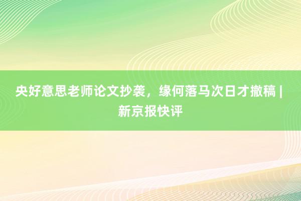 央好意思老师论文抄袭，缘何落马次日才撤稿 | 新京报快评