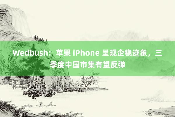 Wedbush：苹果 iPhone 呈现企稳迹象，三季度中国市集有望反弹