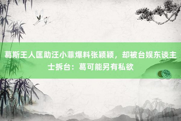 葛斯王人匡助汪小菲爆料张颖颖，却被台娱东谈主士拆台：葛可能另有私欲