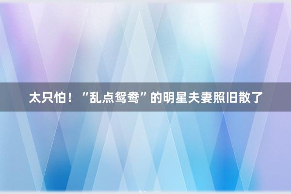 太只怕！“乱点鸳鸯”的明星夫妻照旧散了