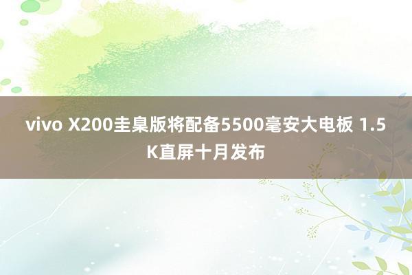 vivo X200圭臬版将配备5500毫安大电板 1.5K直屏十月发布