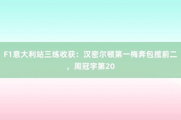 F1意大利站三练收获：汉密尔顿第一梅奔包揽前二，周冠宇第20