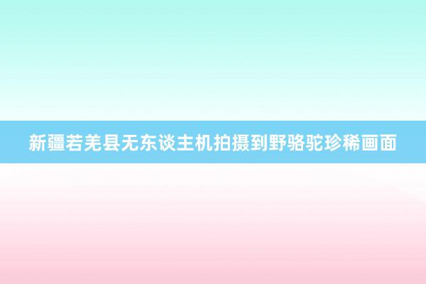 新疆若羌县无东谈主机拍摄到野骆驼珍稀画面