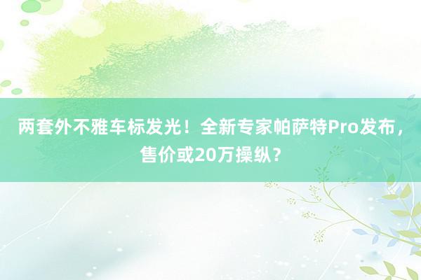 两套外不雅车标发光！全新专家帕萨特Pro发布，售价或20万操纵？