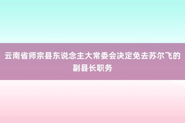 云南省师宗县东说念主大常委会决定免去苏尔飞的副县长职务