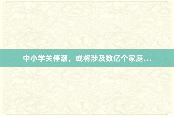 中小学关停潮，或将涉及数亿个家庭…