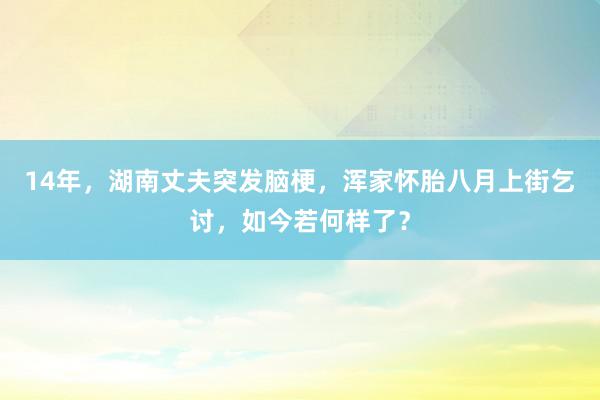 14年，湖南丈夫突发脑梗，浑家怀胎八月上街乞讨，如今若何样了？