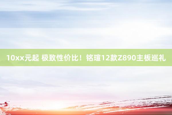 10xx元起 极致性价比！铭瑄12款Z890主板巡礼