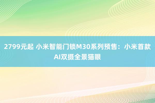 2799元起 小米智能门锁M30系列预售：小米首款AI双摄全景猫眼